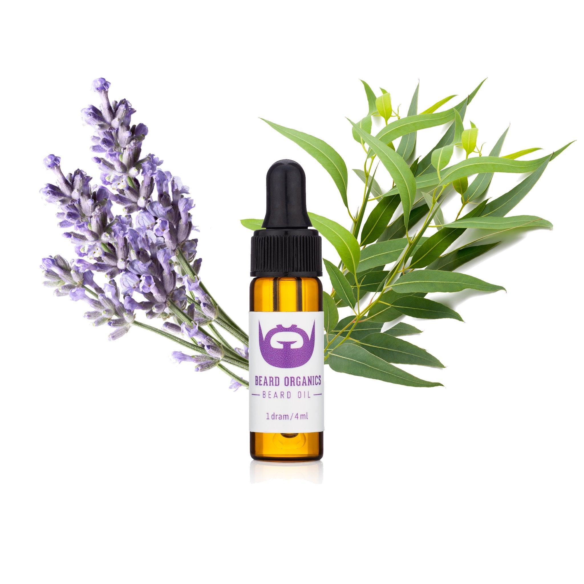 Purple Koala Beard Oil Sample