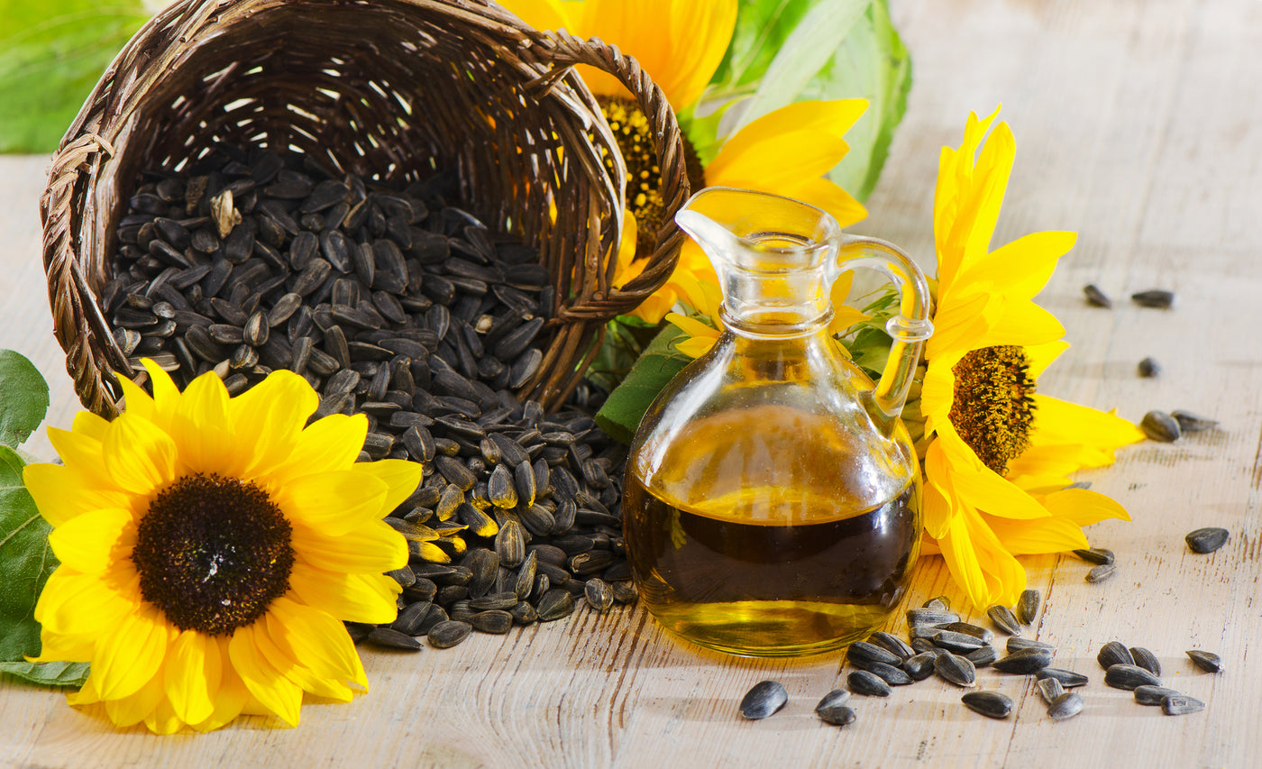 Best Oils for Beards What are the Benefits of Using Sunflower Oil for